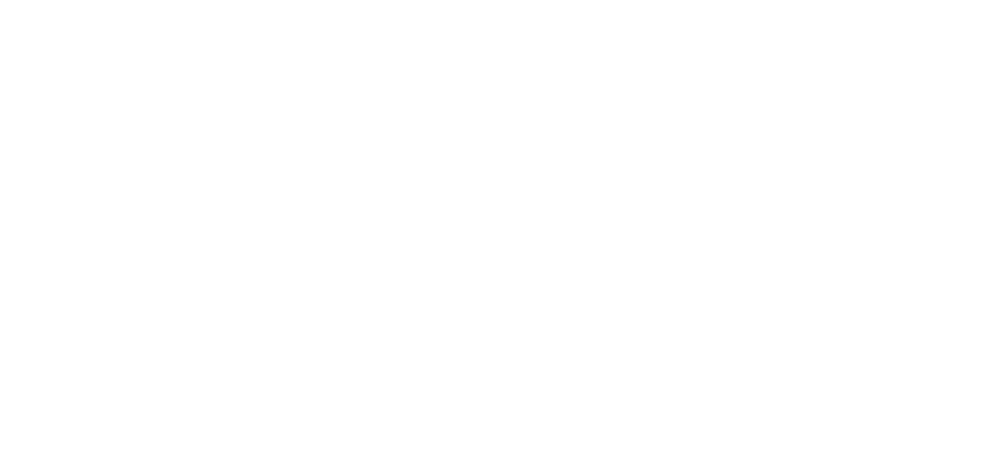 GOV/ACT Action Fund